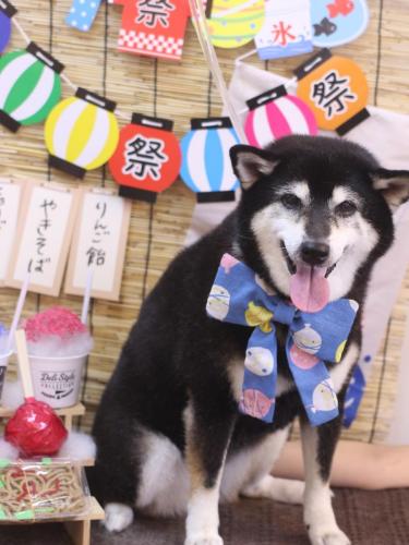 20240704ひめちゃん